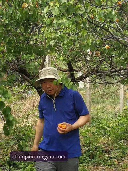 杏运体育平台最新活动参与与冠军之路进阶操作教程