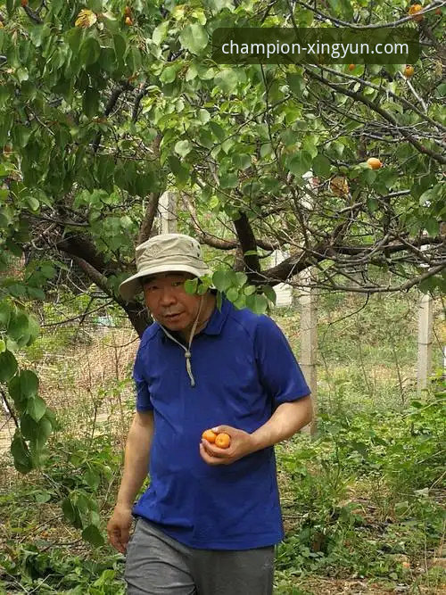 杏运体育安全吗 杏运体育平台安全评估与实用指南:冠军之路的基石